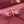 CD 2026 Bow Bag 33.5cm in Burgundy Lambskin