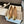 CC 26FW Ballet Flats Gold Cap Toe Beige Leather