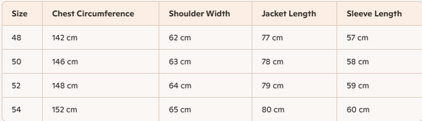 Balenciaga Jacket Black Polyester Down