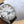DRIVE DE CARTIER QUADRANTE BIANCO FASI LUNA 