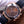 DAYTONA ROSE GOLD CASE 40MM CHOCOLATE DIAL RUBBER STRAP