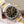 DAYTONA 40MM GOLD STEEL BLACK BEZEL BLACK DIAL