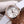 DE VILLE PRESTIGE 32 ROSE GOLD WHITE DIAL