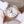 DE VILLE PRESTIGE 32 ROSE GOLD WHITE DIAL