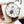 GENEVE 40MM CELLINI CASUAL LEATHER