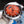 OYSTER PERPETUAL 39MM DOPPIO VETRO ZAFFIRO SPECCHIATO 