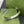 GG TURQUOISE ENAMEL BRACELET