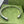 GG TURQUOISE ENAMEL BRACELET