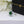 GRA SILVER GREEN DIAMOND RING