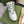 GG HIGH TOP EFFECT TRAINER DISTRESSED