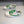 GG LOW TRAVIS GREEN WHITE LEATHER