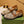 GG LOAFERS JORDAAN MAXI BROWN