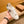 GG ACE EMBROIDERED SNEAKER WHITE