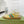 SNEAKERS GG IN PELLE GIALLA ARDESIA