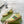 SNEAKERS GG IN PELLE GIALLA ARDESIA