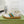 GG SNEAKERS ARDESIA WHITE LEATHER