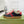 GG SNEAKERS ARDESIA NERO ROSSO PELLE