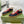 GG SNEAKERS ARDESIA NERO ROSSO PELLE
