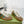 GG SNEAKERS ARDESIA BROWN WHITE LEATHER
