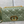 BORSA CARO MEDIA 25 VERDE MACROCANNAGE PELLE DI VITELLO