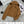 Triomphe Embroidered Hooded Jacket In Tan Cotton