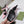 GG SLIM HORSEBIT SLIDE SANDAL WHITE