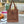 Chloe Summer Banana Bag 33cm Summery Raffia
