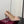 GG 26s Pointed Toe Pumps 8.5cm Calfskin