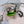 CD Teddy Bear Charm