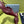 Prad 2026 Pointed Toe Slingback 75mm Suede 148651