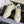 Celine Racer Low Top Sneaker Vanila Grey Suede Fabric
