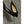 CL Anjalina Flats Spikes Calf Leather Black