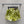 CD 25 Miss Dior Set Lime Yellow mix White Cotton