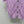 CC 26 Diamond Pattern Knit Short-Sleeve Cardigan in Tencel