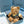 BLC Brown Plush Bear Charm
