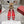 Bell Viv 25 Pumps Red Imported Silk 300732
