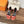 HM Buckle Sandals Gred Calfskin 308184