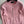 CC 25A Classic Round Neck Floral Wool Cardigan In Pink 275515