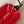 Miumiu 2025 Sailor Sweater Red and Navy Blue Wool