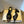 YSL 26ss High Heeled Mules 75 Sheepskin