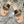 Chanel 2026 Newest Double C Slippers Leather Sheepskin 834459