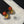 Chanel 2026 Enamel Button Double C Earrings