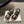 CL 26ss Lympia Strappy Sandals Calfskin Leather