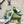GG 26ss Screener Sneaker Beige Blue Green Cowhide 697181