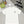 CC 2026 Short-Sleeve T-Shirt Rainbow Graffiti Cotton 431014