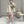 DIOR 25S TWO-PIECE SET 707