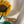 Chanel 2026 T-shirt Chrysanthème au Crochet Coton Blanc 150106