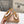 Miumiu 26ss Thong Sandals Suede Cowhide 713100