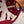 Casquette de Baseball Celine Coton 240644