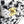 CC 2026 Leopard Print 25cm Flap Bag White Black Ponyhair Leather